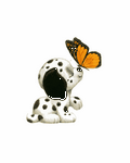 pic for Dog & Butterfly